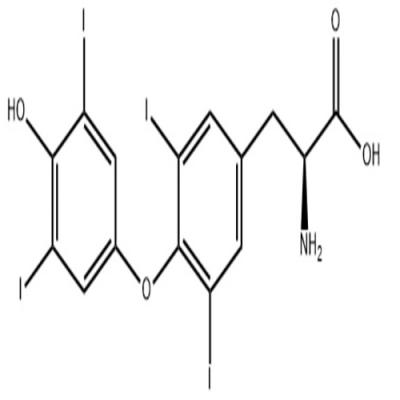 51-48-9 L-Thyroxine