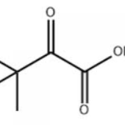 815-17-8 3,3-Dimethyl-2-oxobutyric acid